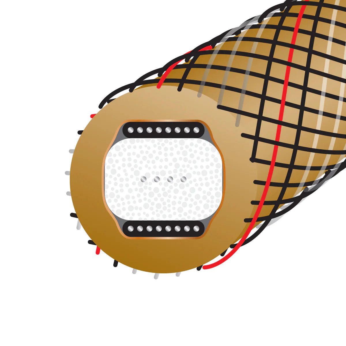 Wireworld GOLD STARLIGHT 10