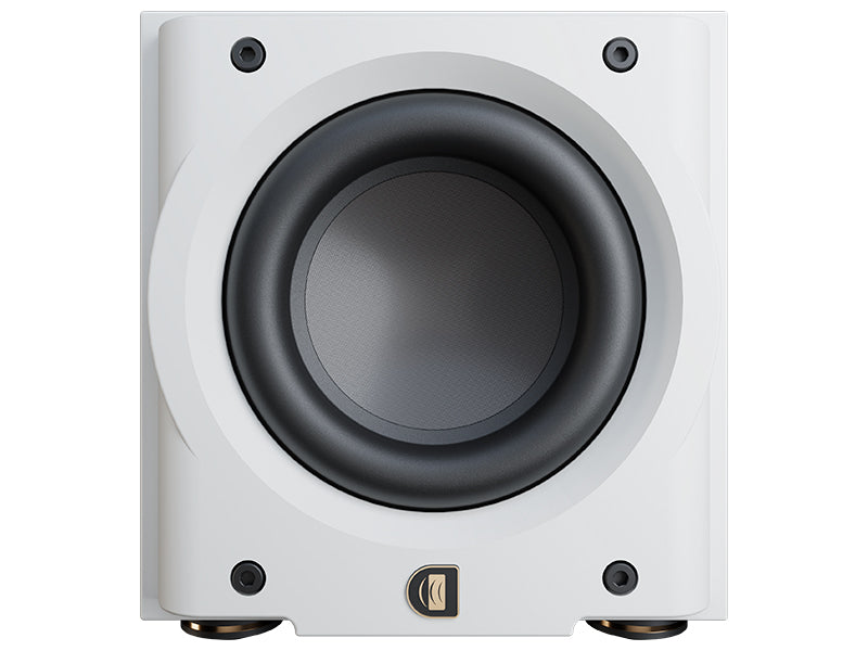 Perlisten R8s, Bianco