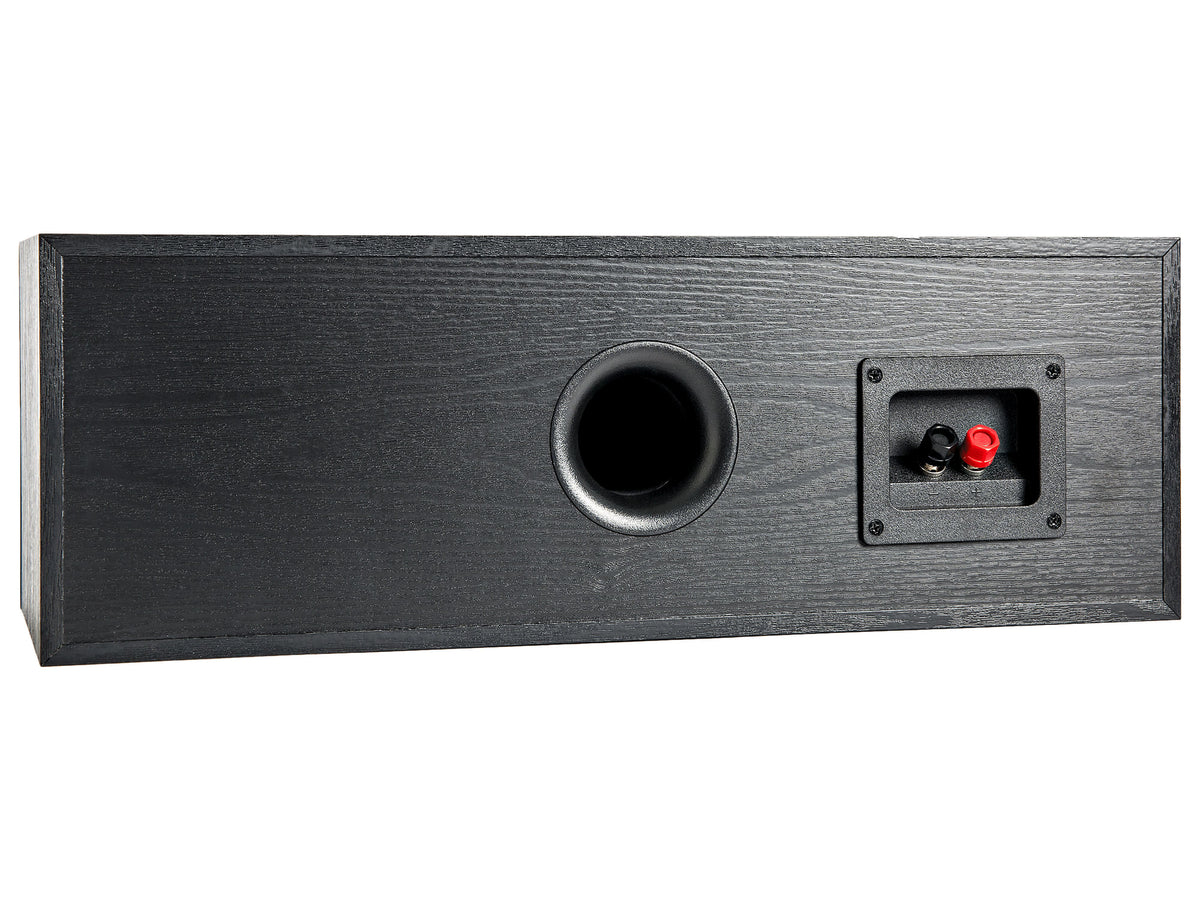 Polk Audio T30, vista posteriore