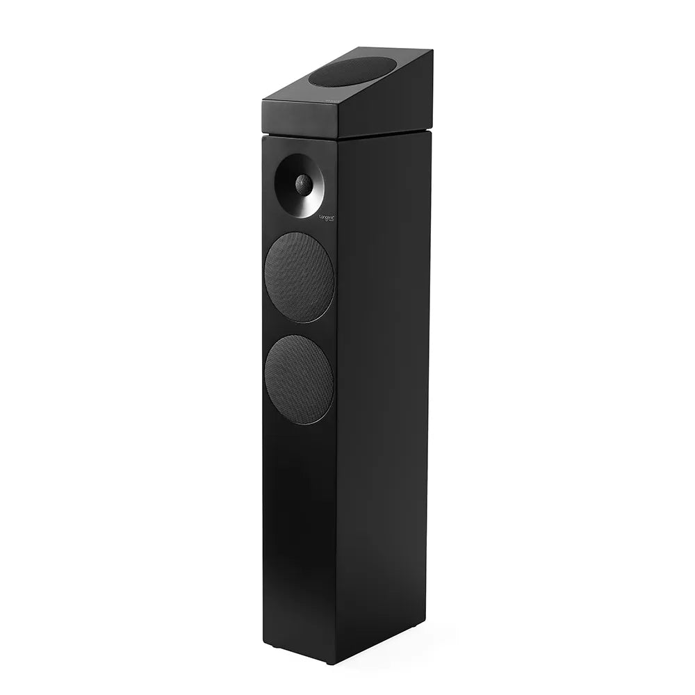 Tangent Spectrum II XATM, dettaglio