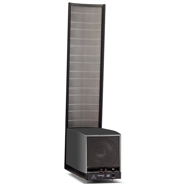 Martin Logan Expression ESL 13A