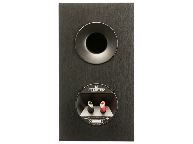 MartinLogan Foundation B1