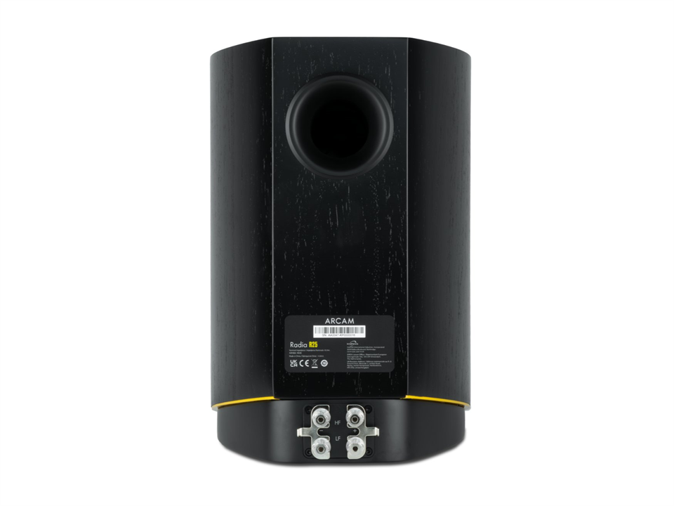 Arcam R25 — Vista posteriore
