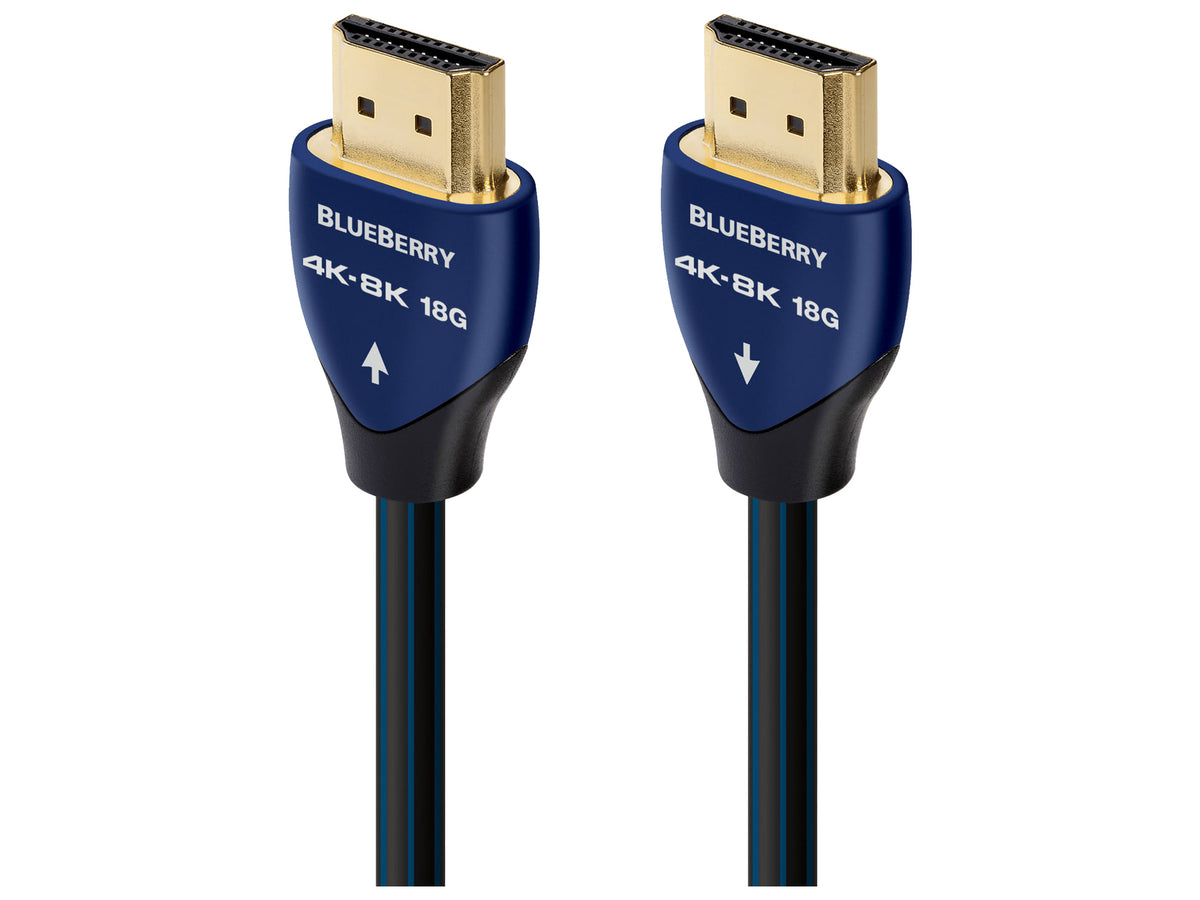 AudioQuest BlueBerry 18