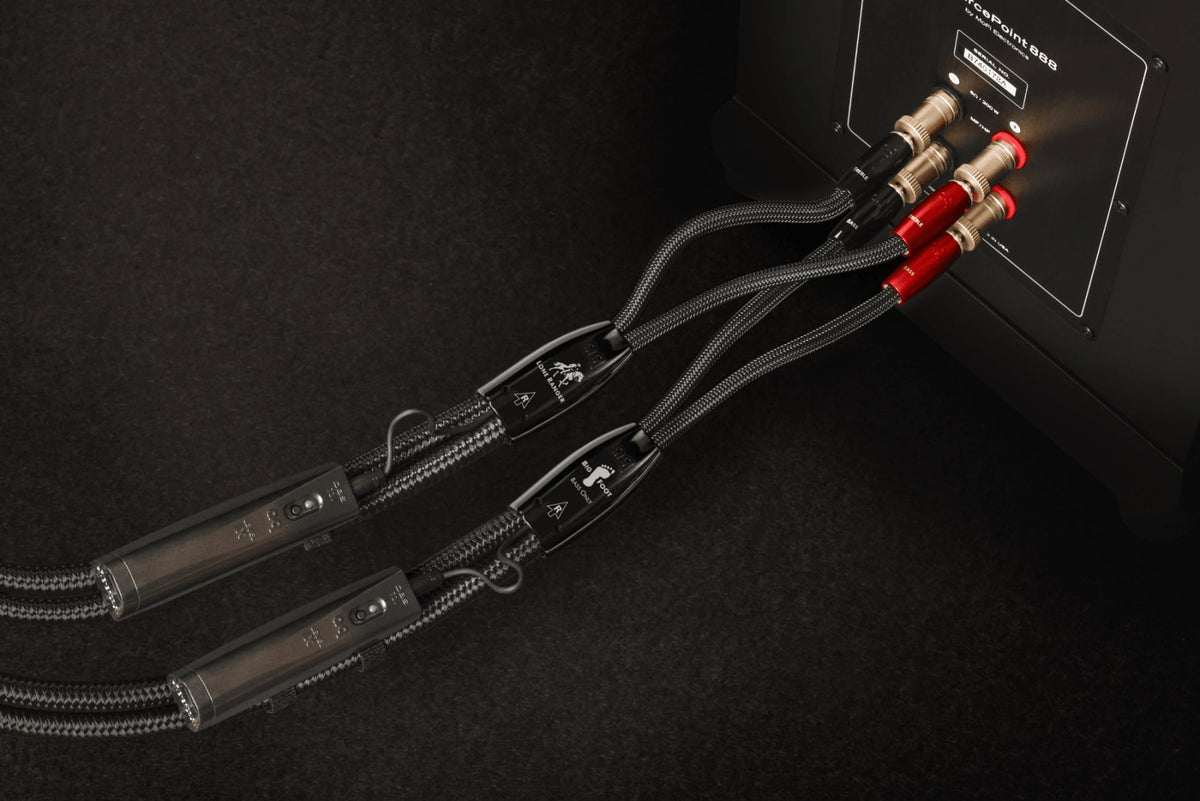AudioQuest Lone Ranger + BigFoot BiWire COMBO — immagine 6