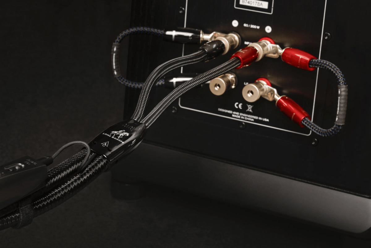 AudioQuest Lone Ranger Full-Range