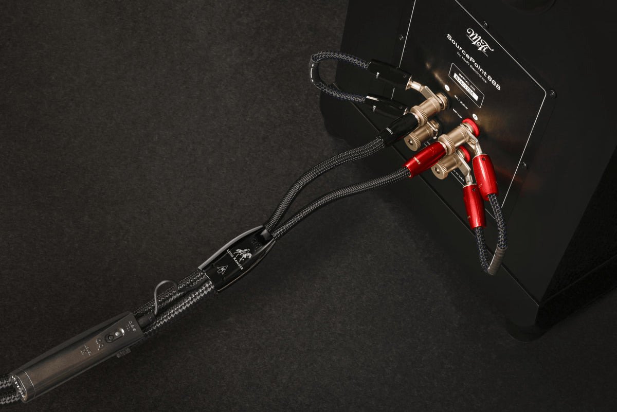 AudioQuest Lone Ranger Full-Range