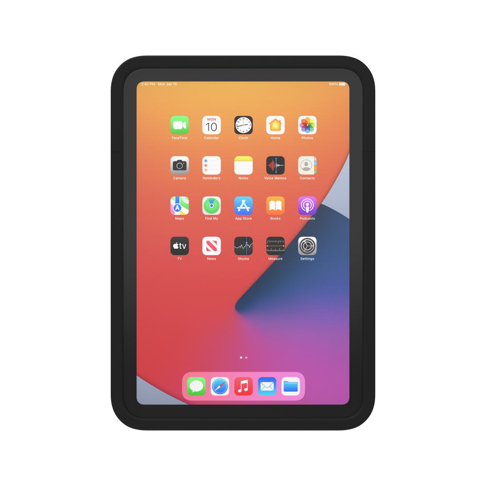 IPORT CONNECT PRO Case