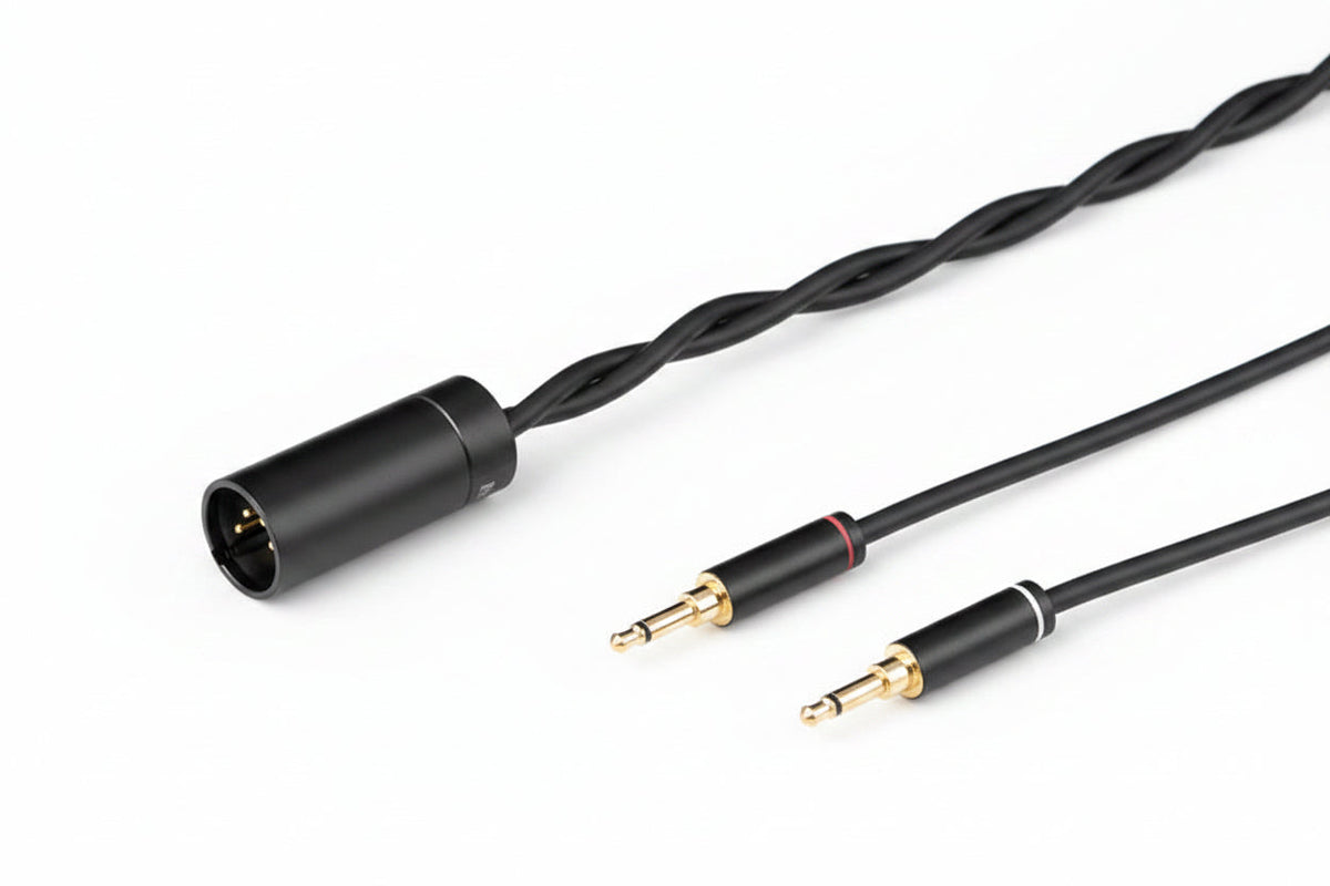 Final Audio DX6000, dettaglio