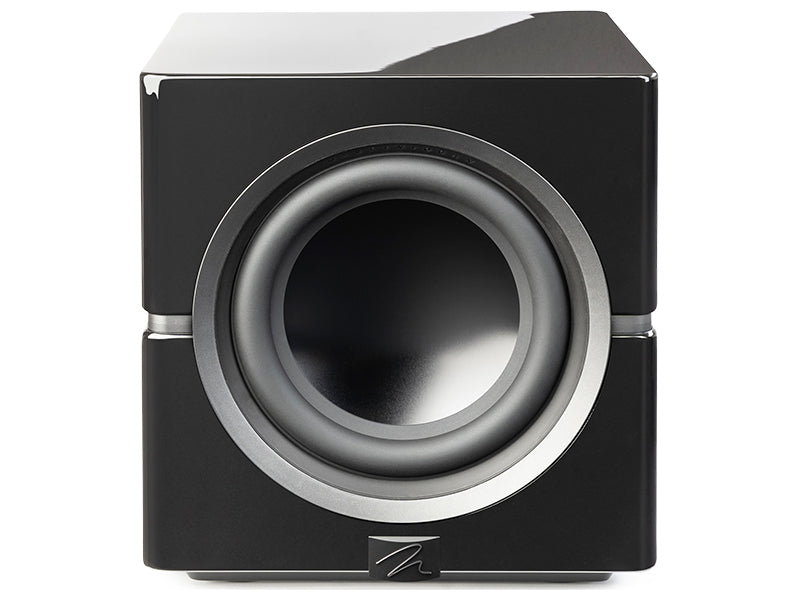 MartinLogan Dynamo 10, vista frontale