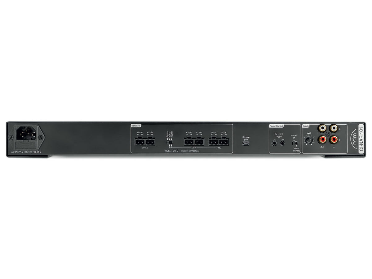 Naim CI-NAP 101 — Vista posteriore
