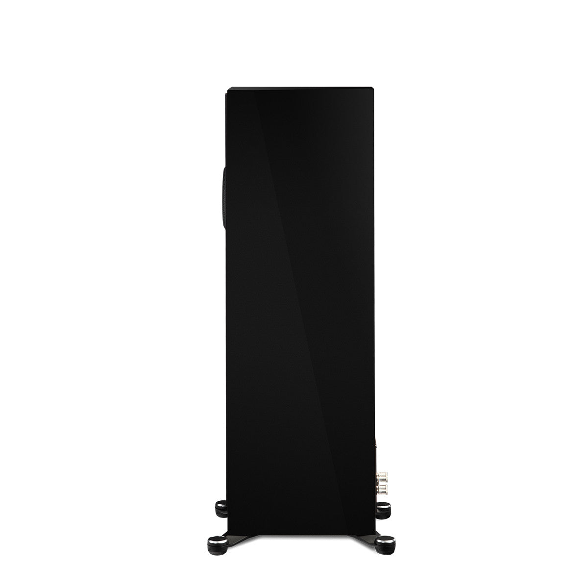 Paradigm Founder 100F, vista laterale