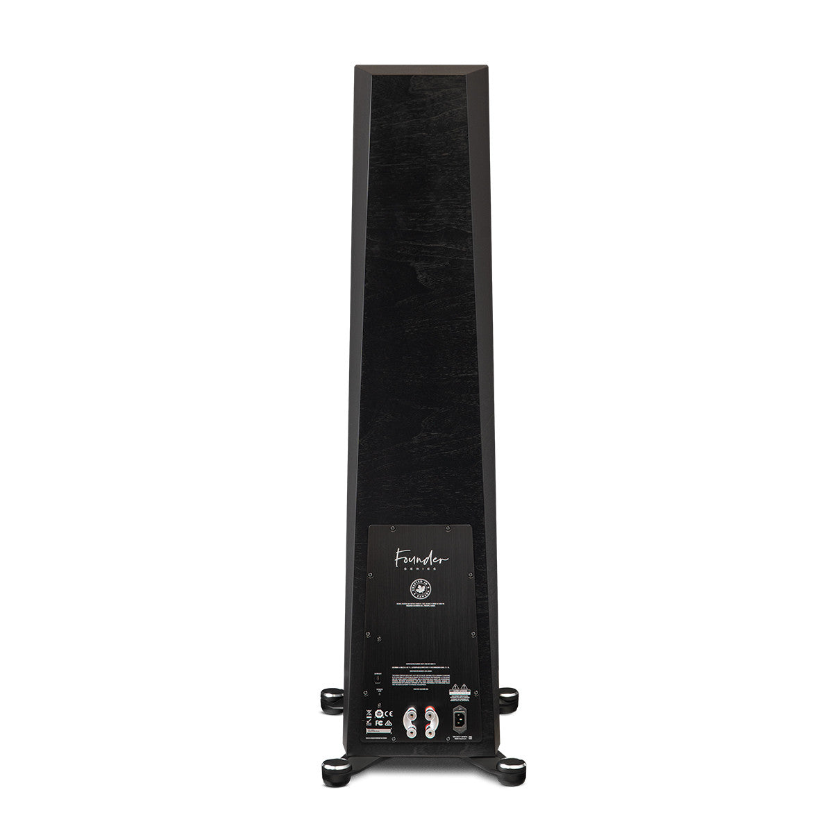Paradigm Founder 120H, vista posteriore
