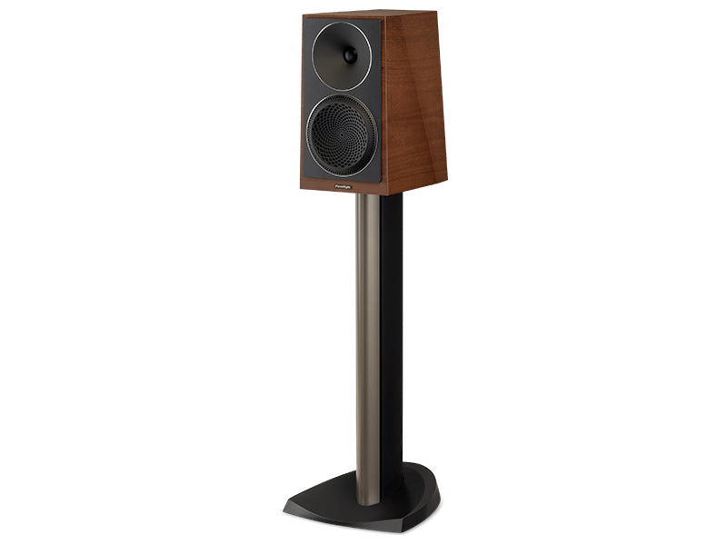 Paradigm Founder 40B, Noce chiaro