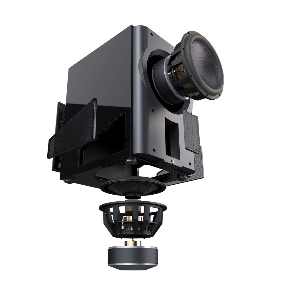 Perlisten  D215s — Dettaglio