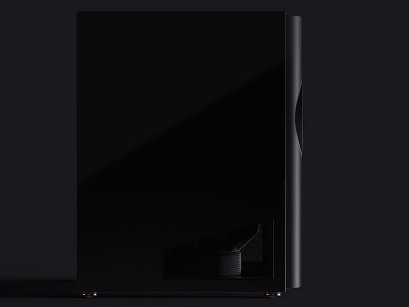 Perlisten  D215s — Vista laterale