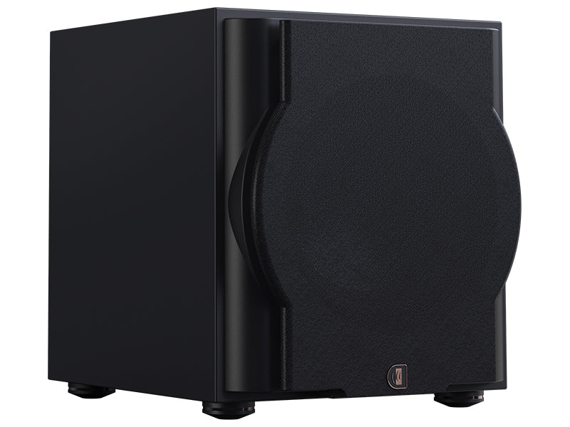 Perlisten R10s