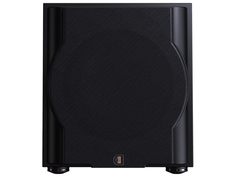 Perlisten R10s — Vista frontale 2