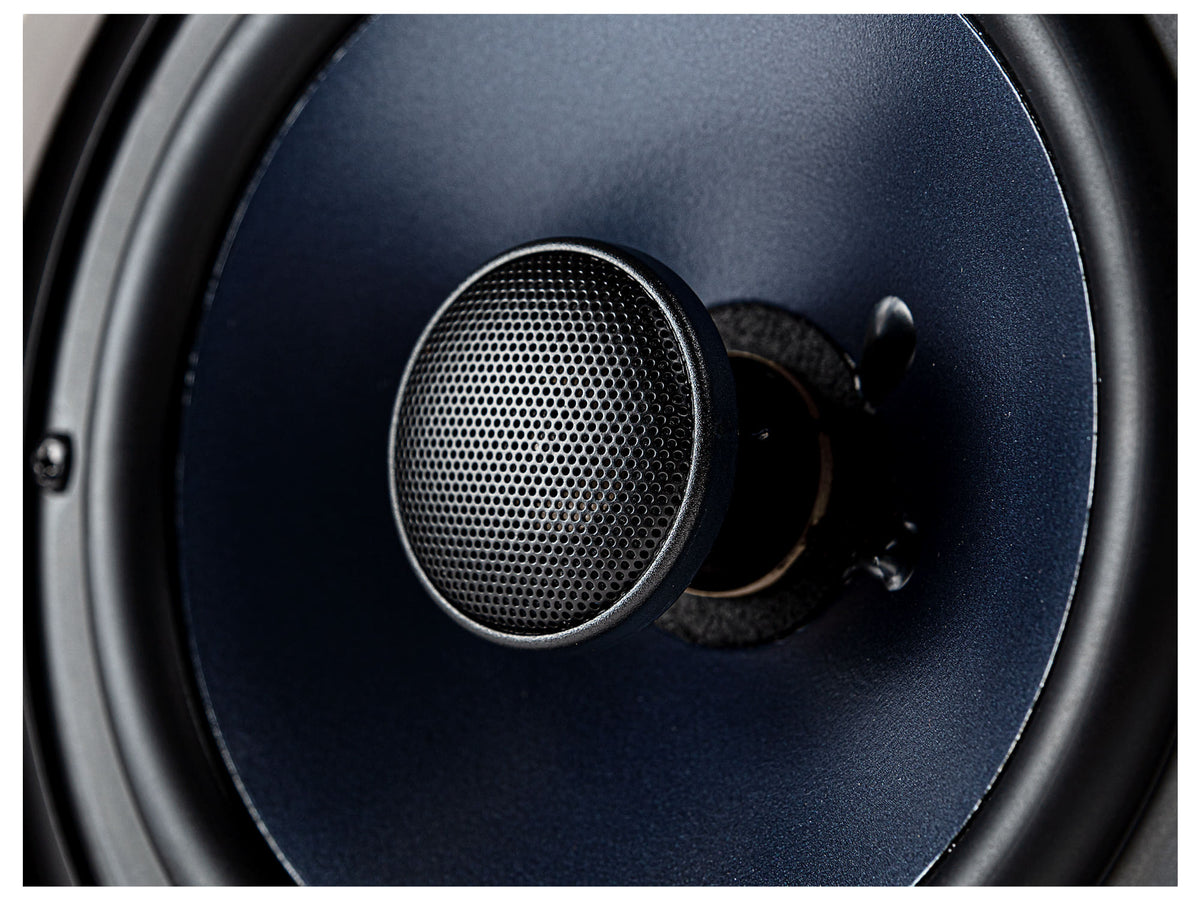 Polk Audio RC80i, dettaglio