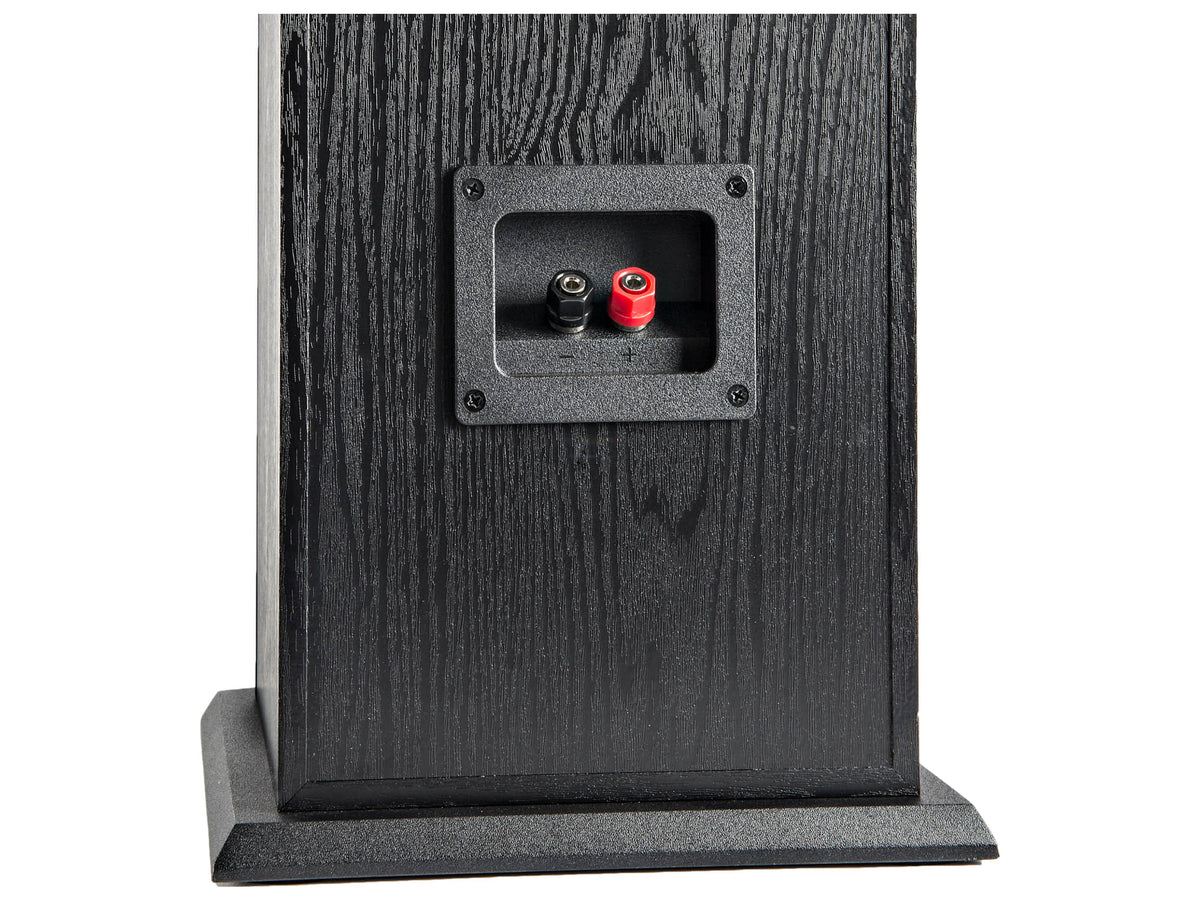 Polk Audio T50 — Vista posteriore