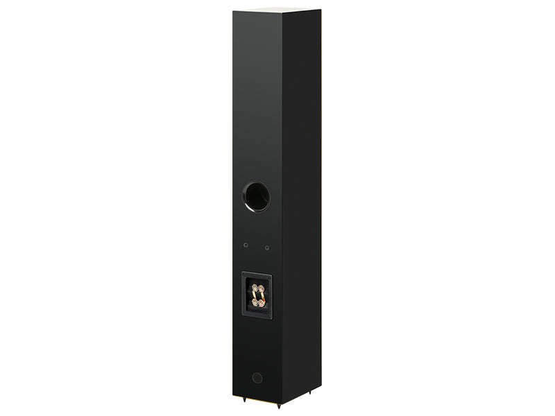 Pro-Ject Speaker Box 12 E Carbon, vista posteriore