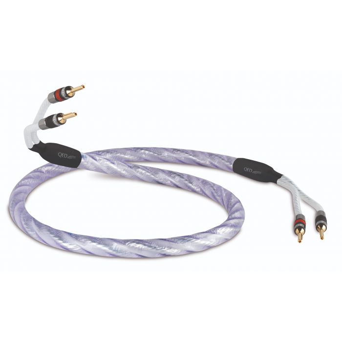 QED Signature genesis silver spiral, vista frontale