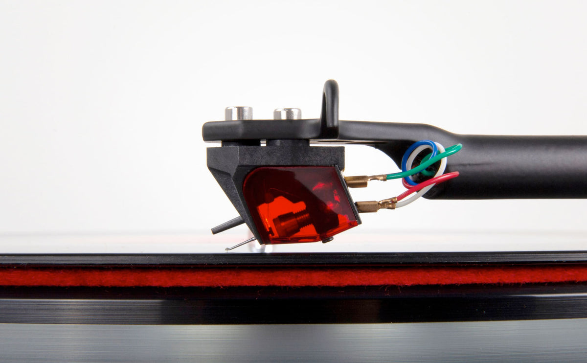 Rega ANIA PRO — Ambientata
