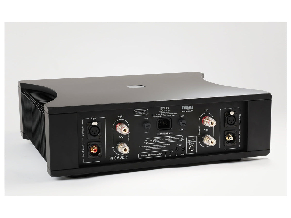 Rega Solis Power Amp, vista posteriore