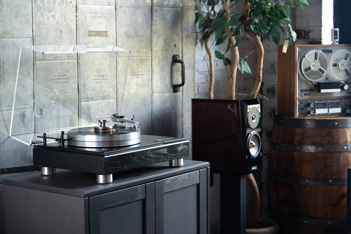 VPI Forever Model One — immagine 6