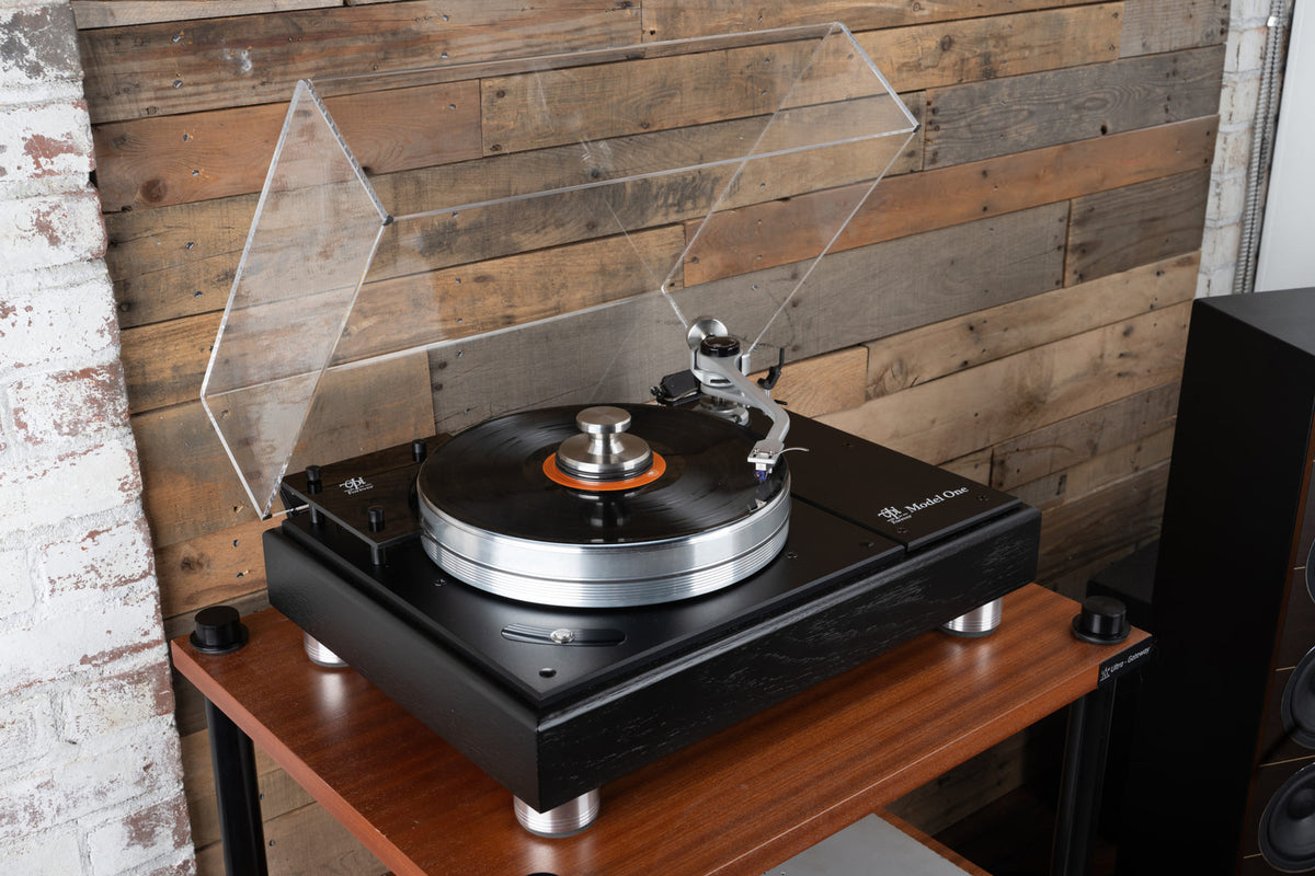 VPI Forever Model One — immagine 7