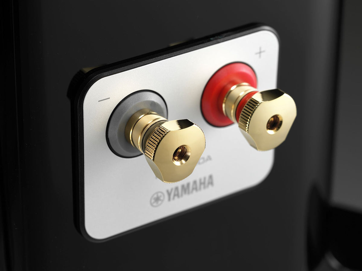 Yamaha NS-2000A — Dettaglio