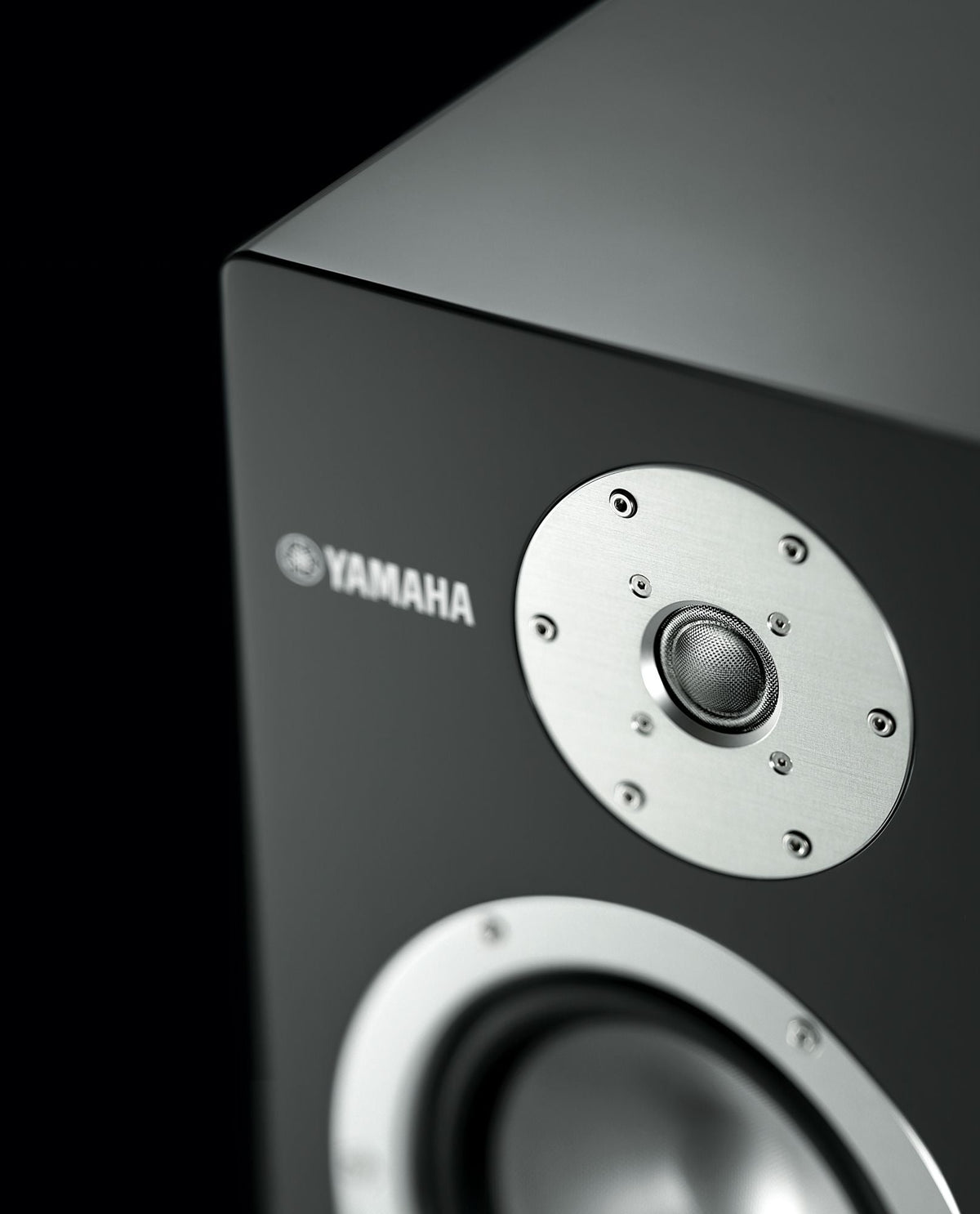 Yamaha NS-3000 Destra, foto ambientata