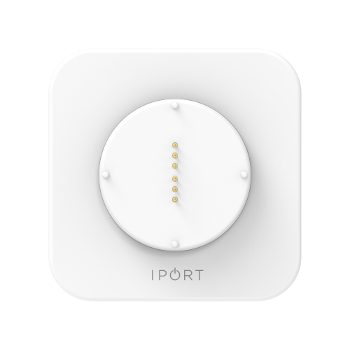 IPORT  WallStation